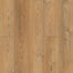 Shaw Industries in Coretec Pro Enhanced VV491 Luxury Vinyl
