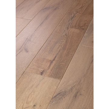 Sand Dollar Oak