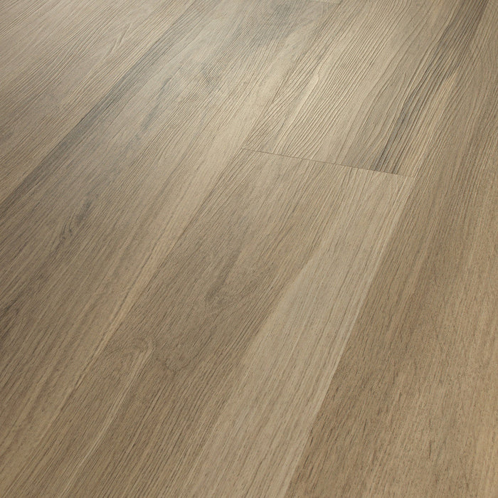 Shaw Industries in Endura Plus Luxury Vinyl