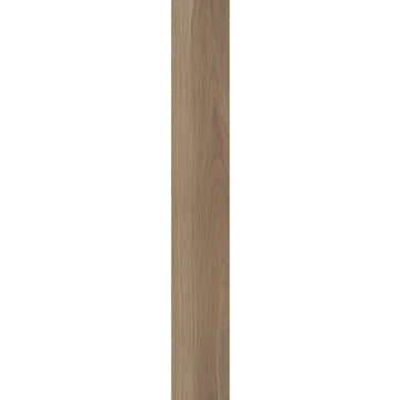 Almond Oak