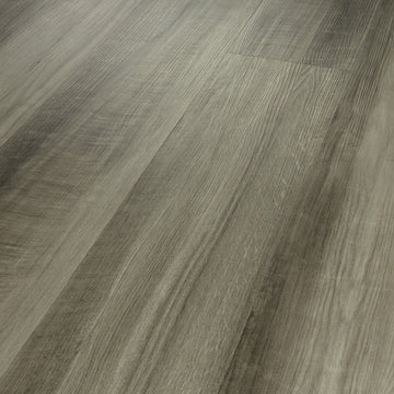 Oyster Oak
