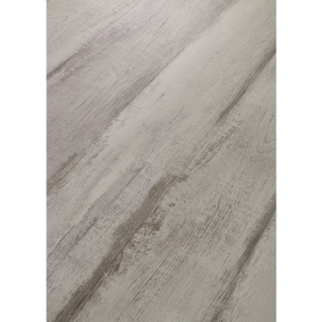 Fresh Driftwood
