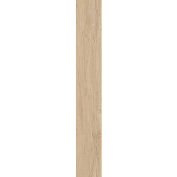 Spalted Maple