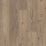 Shaw Industries in ARDENT Luxury Vinyl
