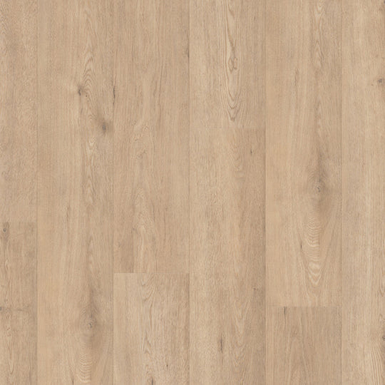 Paragon HD Plus Natural Bevel