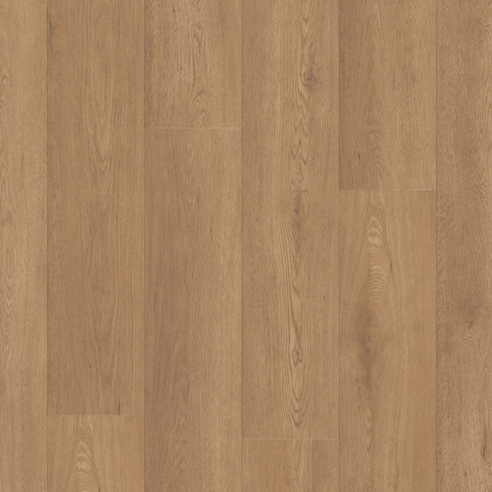 Paragon HD Plus Natural Bevel