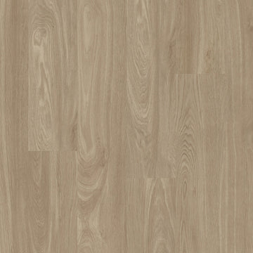 Sandstone