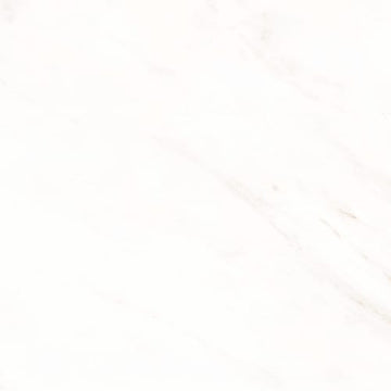 Snow 12x24 Matte