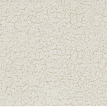 White 2x8