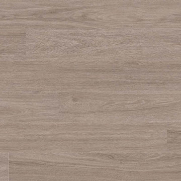 Bleached Elm