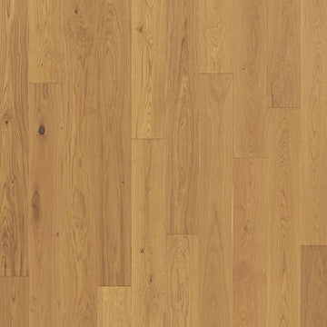 Timeless Oak