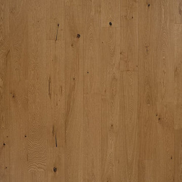 Sepia Oak