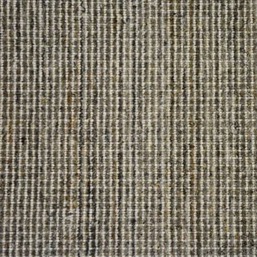 Winston (cav) in Charcoal Carpet