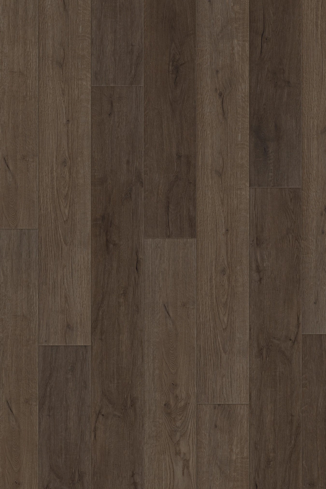 Canopy Floors