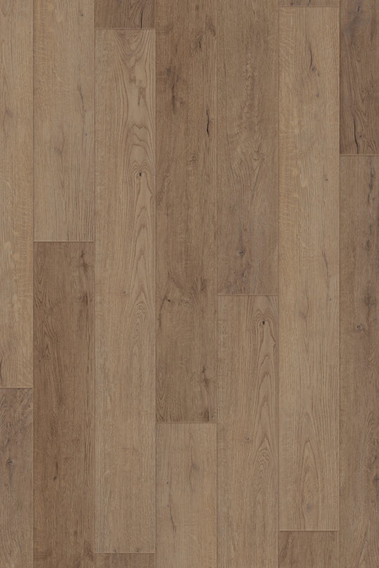 Reverie Oak