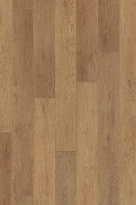 Comfort in  Summer Oak Luxury Vinyl by Canopy Floors #common
