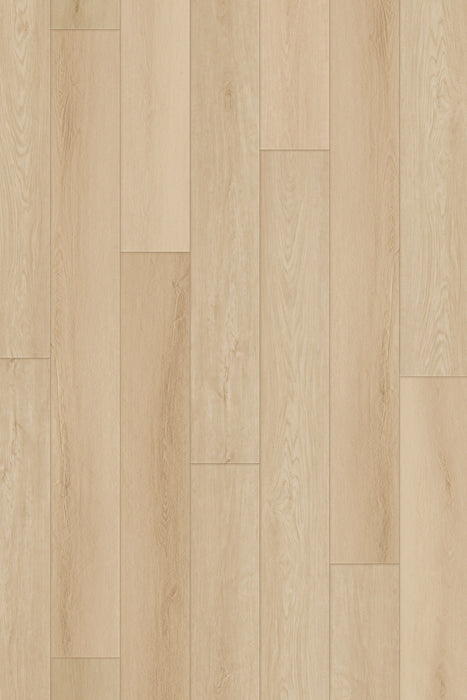 Comfort NE in Pearl Oak Luxury Vinyl by Canopy Floors #common