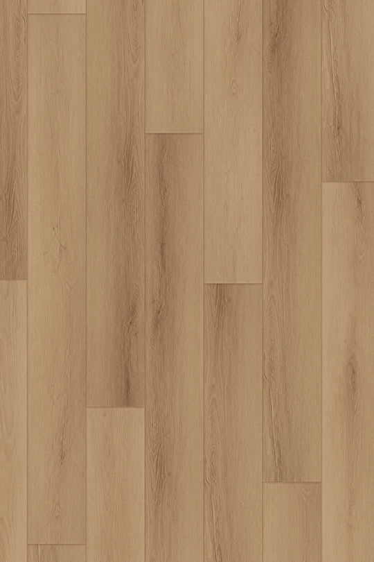 Laurel Oak