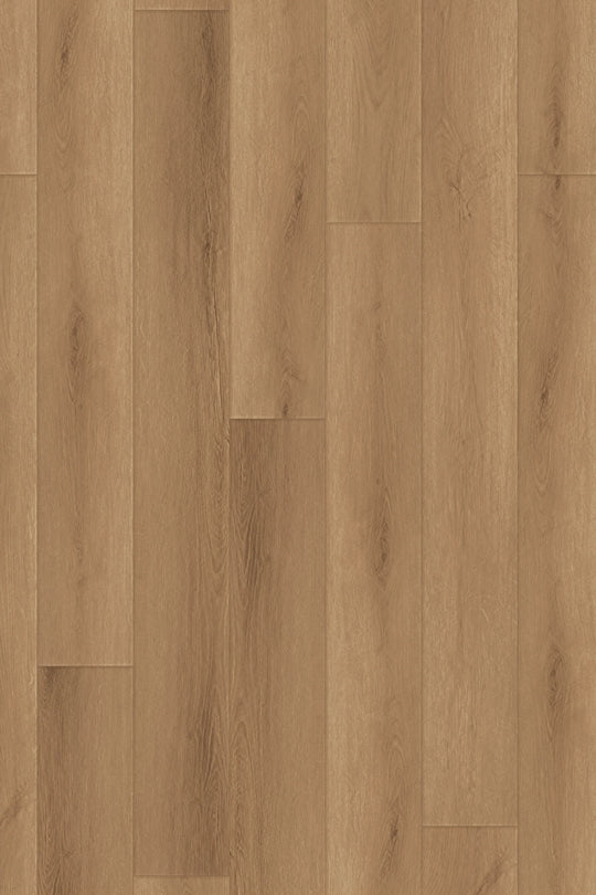 Toasted Oak