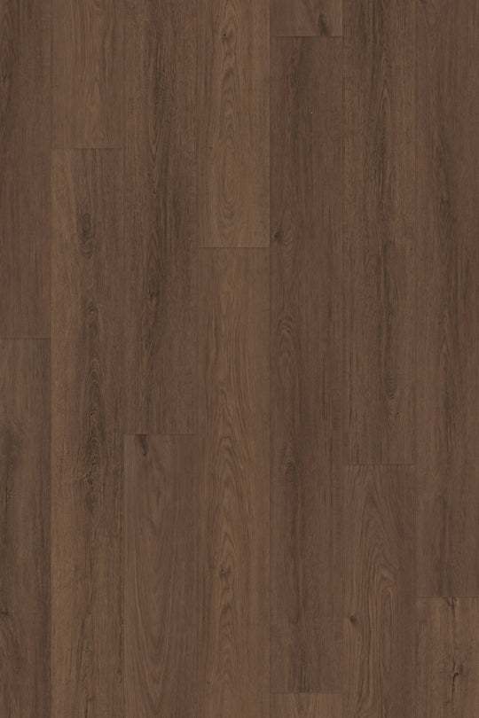 Cocoa Oak