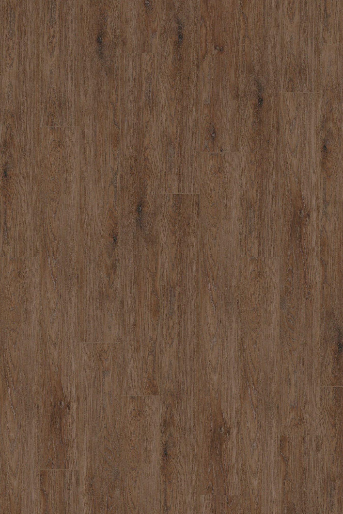 Canopy Floors