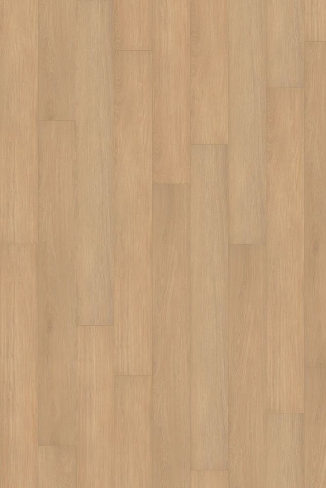 Comfort in Ivory Oak Luxury Vinyl by Canopy Floors #common