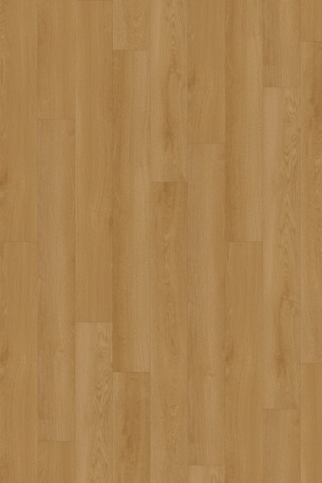 Comfort in Dawn Oak Luxury Vinyl by Canopy Floors #common