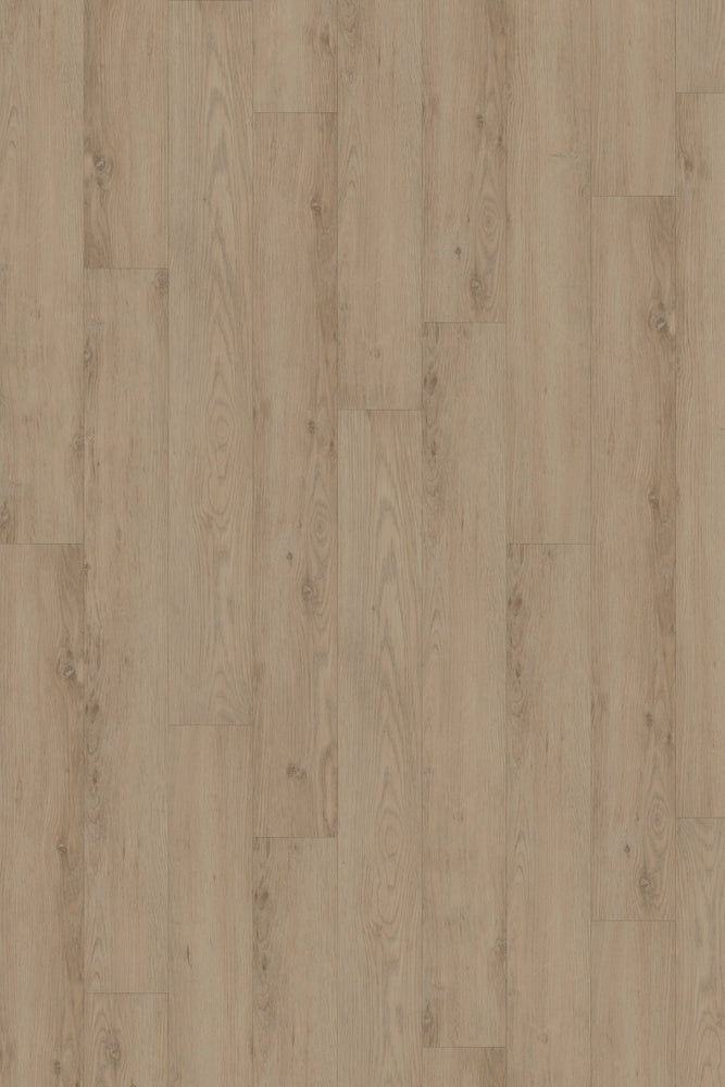 Comfort in Sterling Oak Luxury Vinyl by Canopy Floors #common