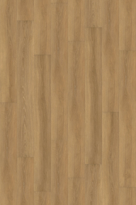 Autumn Oak