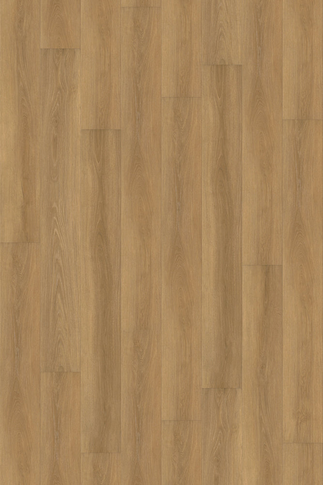 Comfort in Autumn Oak Luxury Vinyl by Canopy Floors #common