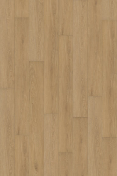 Comfort in Veranda Oak Luxury Vinyl by Canopy Floors #common