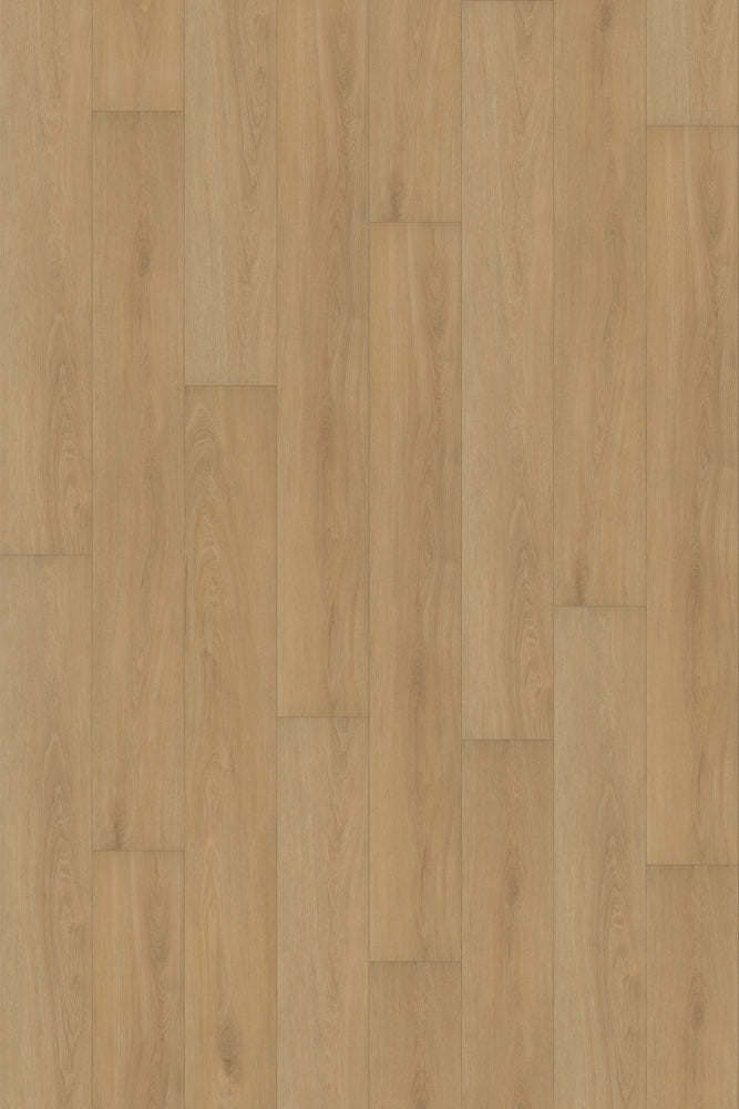 Comfort in Veranda Oak Luxury Vinyl by Canopy Floors #common