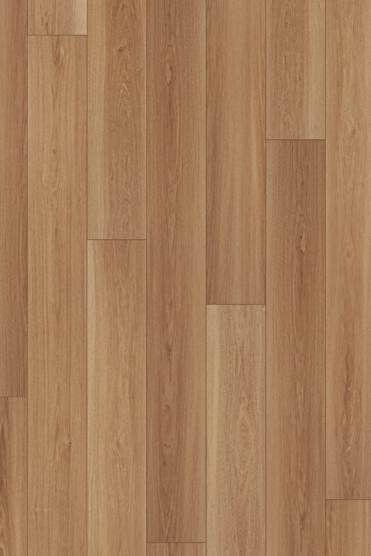 Harvest Oak