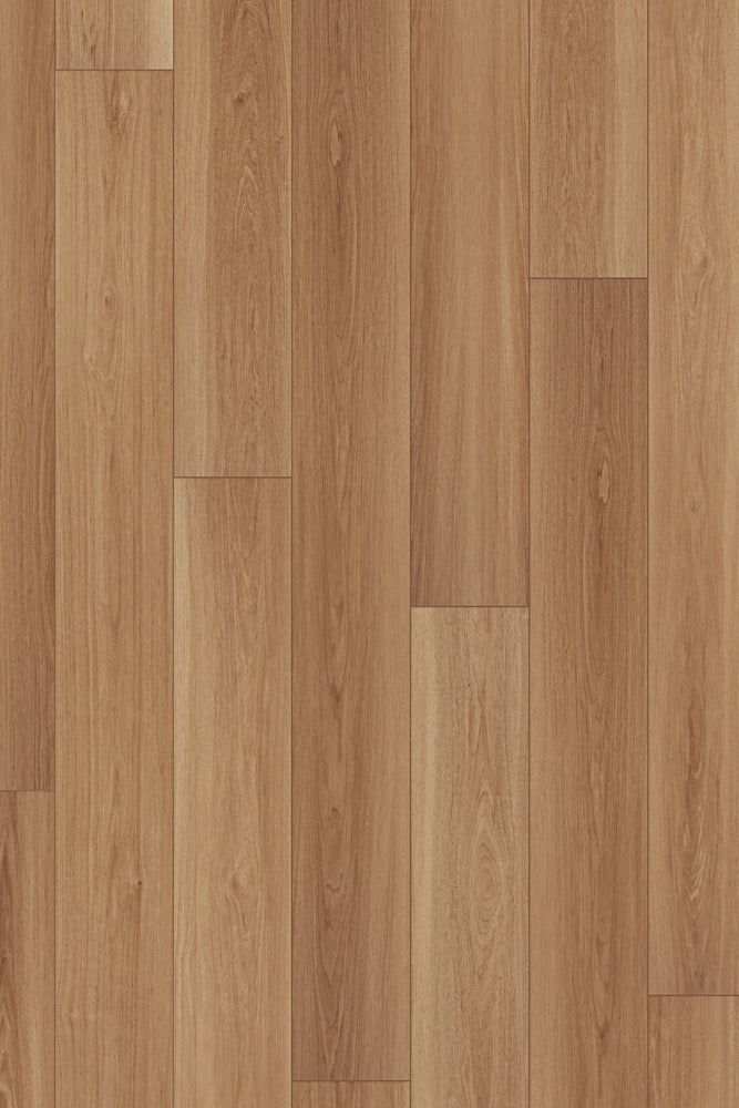 Comfort Premium in Harvest Oak Luxury Vinyl | Canopy Floors