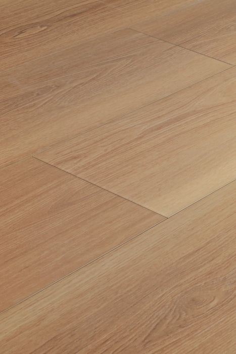 Saddle Oak