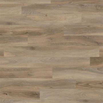Weathered Elm Wood