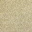 Wyoming in Greybull Carpet