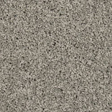 Winter Ash