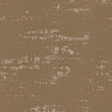Acorn