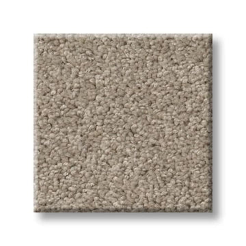 Cement