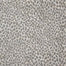 Zaza in Cameo Carpet