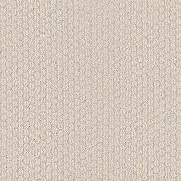 Brushed Ivory X