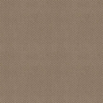 Sand Dune