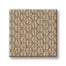 Cathedral Hill II Flooring by Anderson Tuftex
