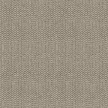 Cement