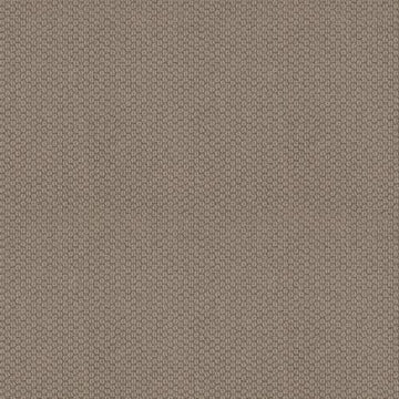 Taupe Tone