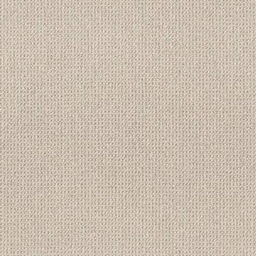 Mocha Cream