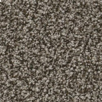 Trail Brown