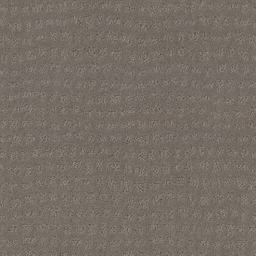 Still Gray