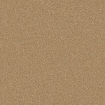 Winter Wheat